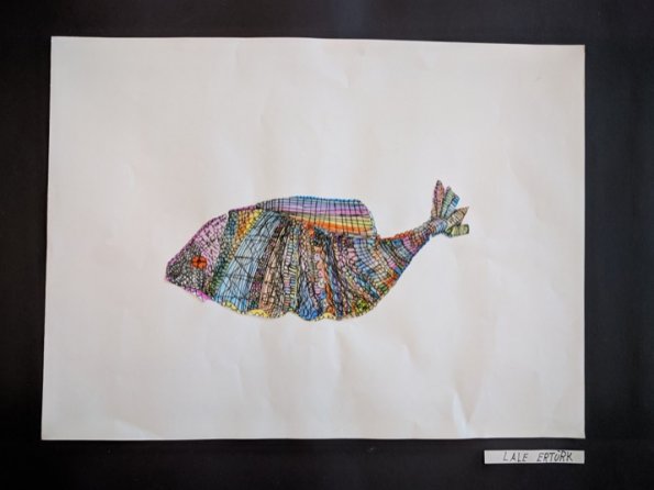 IMG_20190408_085947_hpgrem