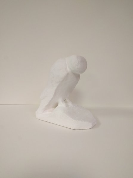 IMG_20190705_084505_hpgrem