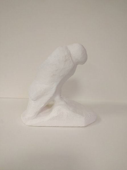 IMG_20190705_084515_hpgrem