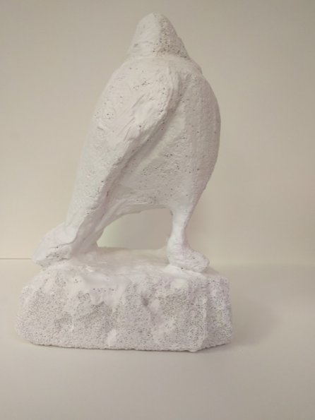 IMG_20190705_084645_hpgrem