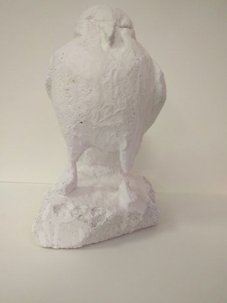 IMG_20190705_084655_hpgrem