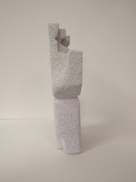 IMG_20190705_084855_hpgrem