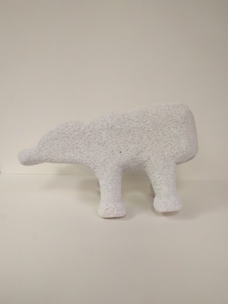 IMG_20190705_085017_hpgrem