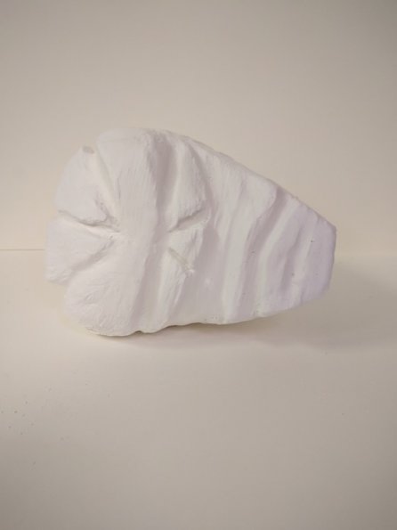 IMG_20190705_085804_hpgrem