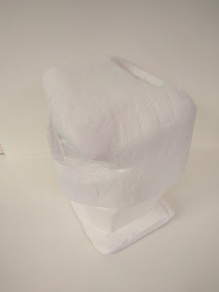 IMG_20190705_090057_hpgrem