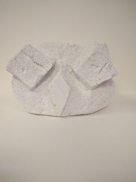 IMG_20190705_090118_hpgrem